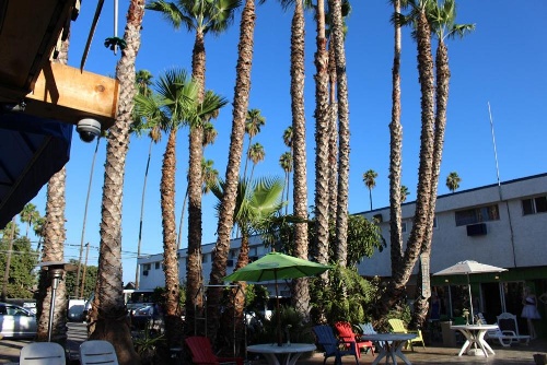 Tradewinds Airport Hotel image 14