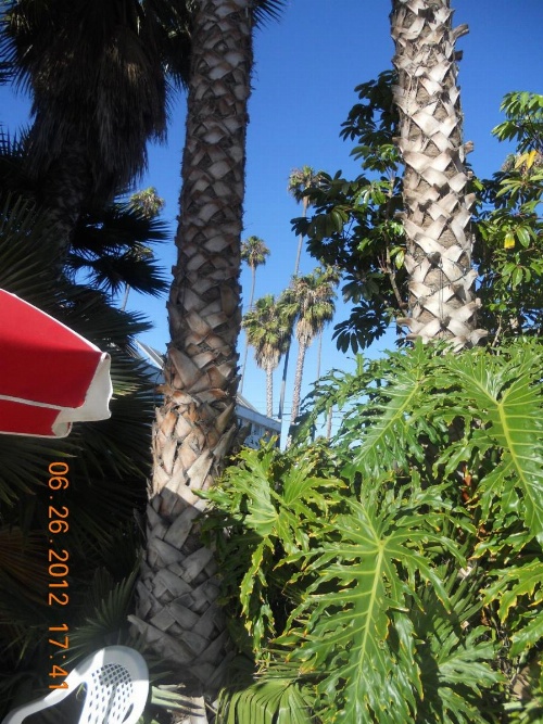 Tradewinds Airport Hotel image 28